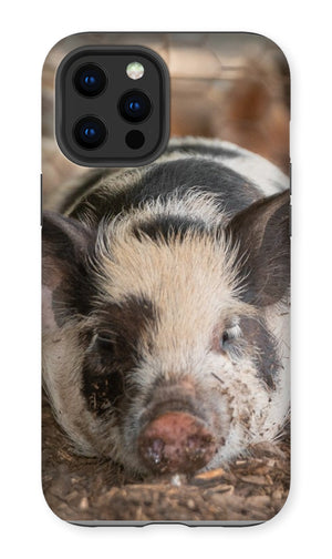 Lazy Pig Premium Phone Case