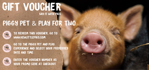 Piggy Pet & Play Voucher For Two