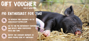 Pig Enthusiast Voucher For Two