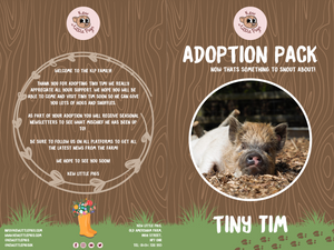 Adopt Tiny Tim