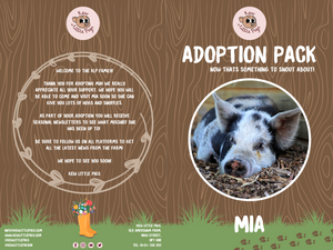Adopt Mia
