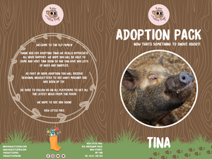 Adopt Tina