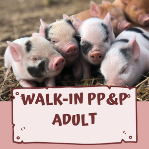 PPP - Walk In Adult