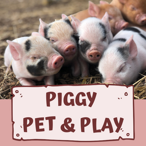 Piggy Pet & Play