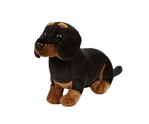 Black Dachshund