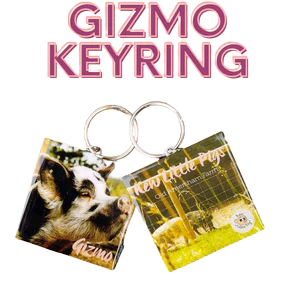 Keyring (Gizmo)