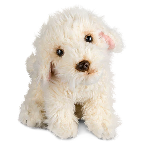 Labradoodle