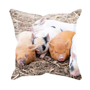 KLP Sleeping Piglets Cushion