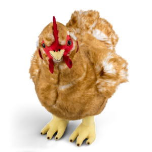 Hen