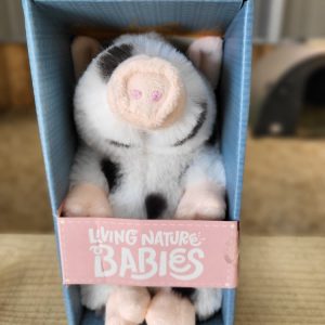 Baby Juliana Piglet in Box