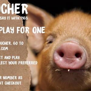 Piggy Pet & Play Voucher For One
