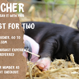 Pig Enthusiast Voucher For Two