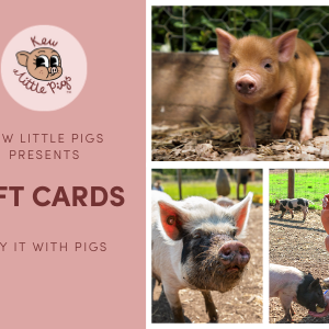 Digital Gift Card