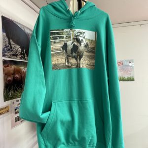 Gizmo Hoodie Green
