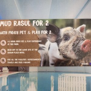 A Mud Rasul Voucher for 2