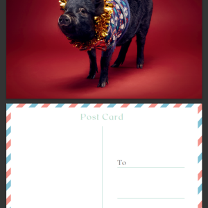 Christmas Festive Postcard