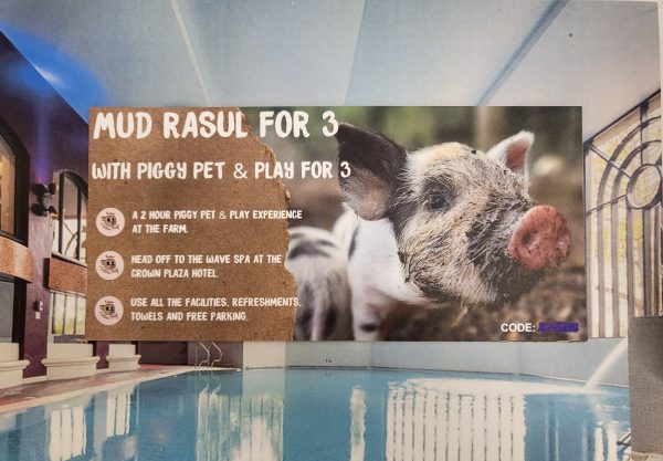 A Mud Rasul Voucher for 3