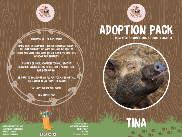 50% off Adopt Tina