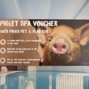 Piglet Spa Voucher