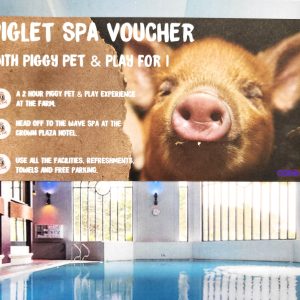 Our Luxury Services