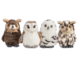 Assorted owls