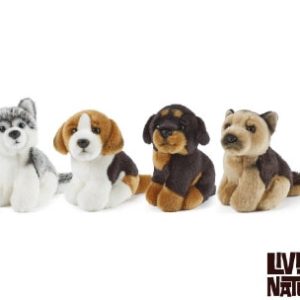 Dogs Miniature Assorted