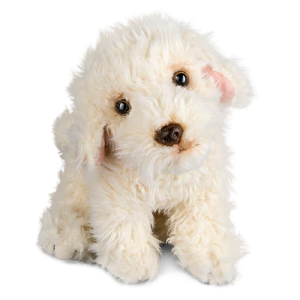 Labradoodle