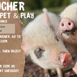 Family Piggy Pet & Play Voucher