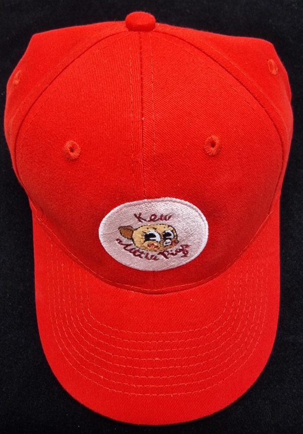 BASEBALL CAP with KLP LOGO - Image 5