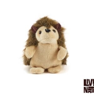 Small Hedgehog Mini Buddies