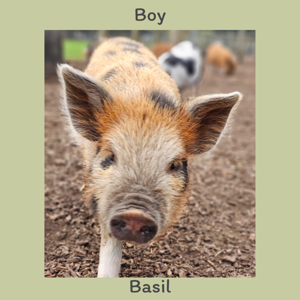 Boy 1