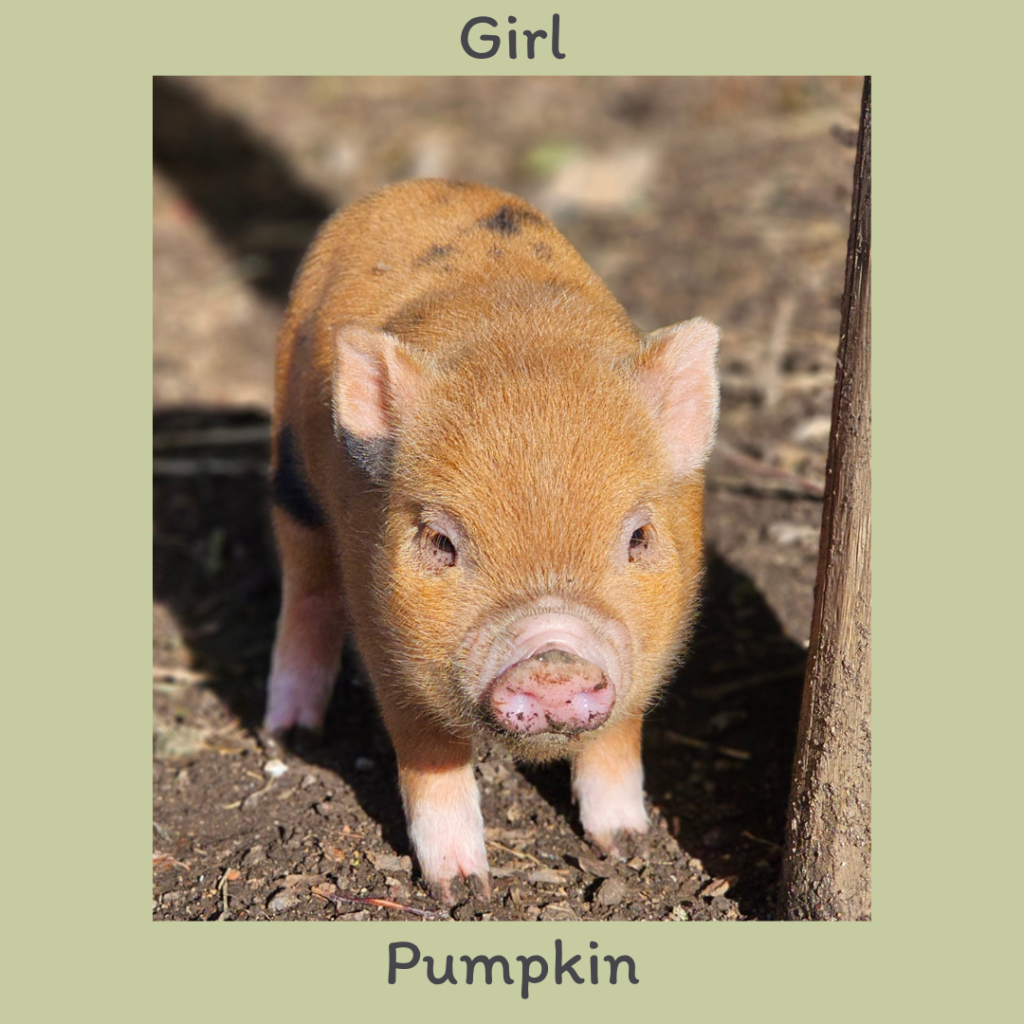 Girl 1