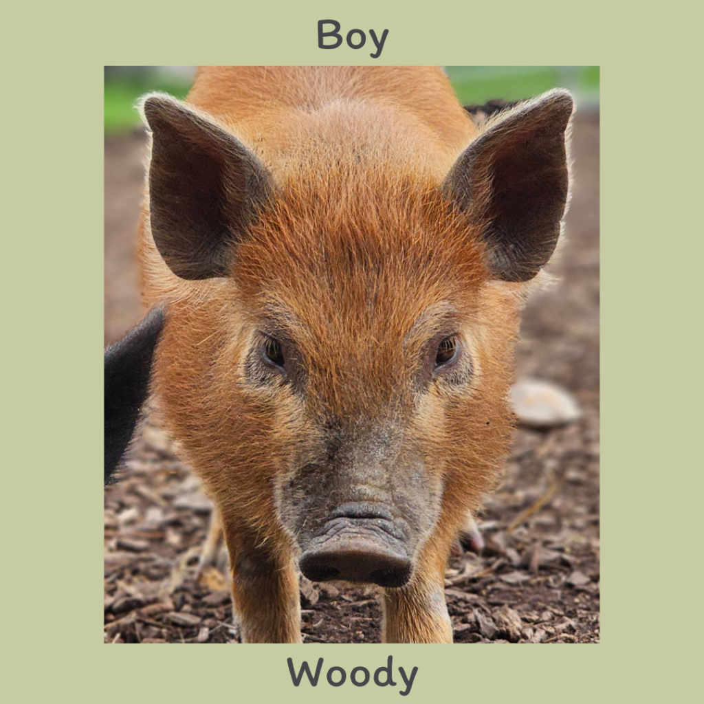 Boy 1