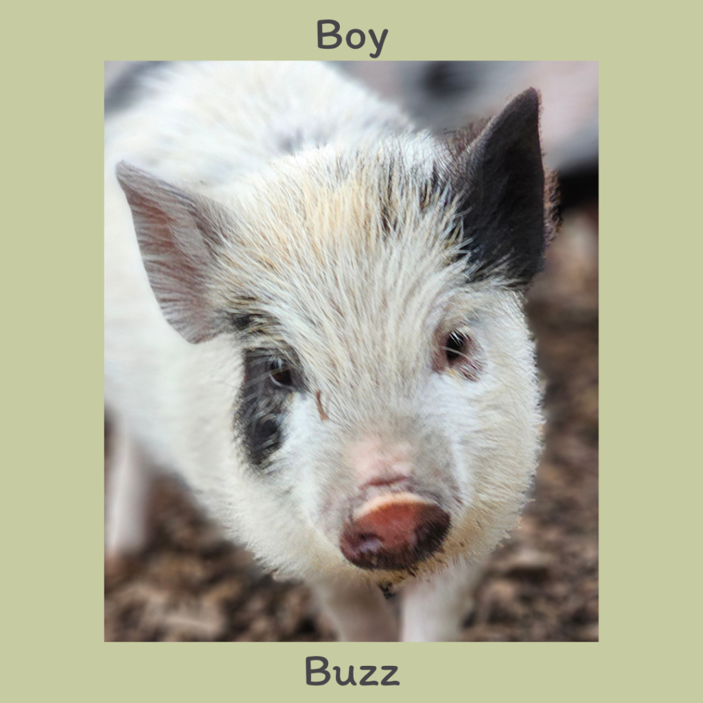 Boy 2
