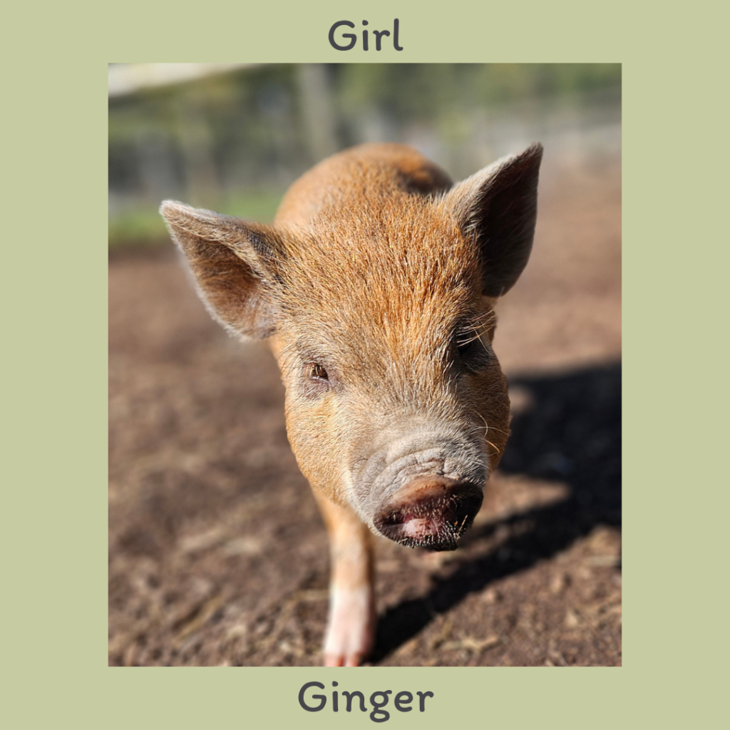 Girl 1