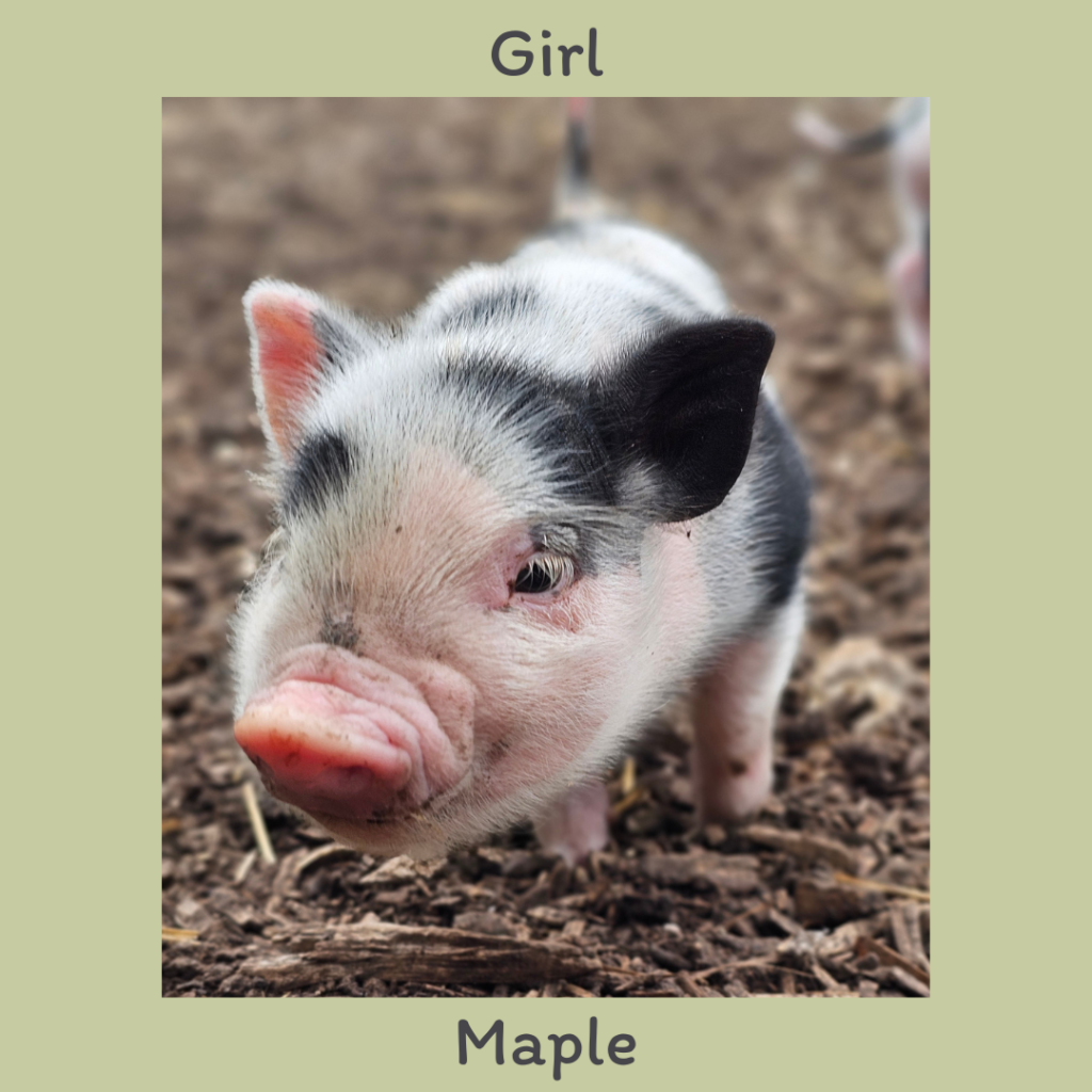 Girl 2