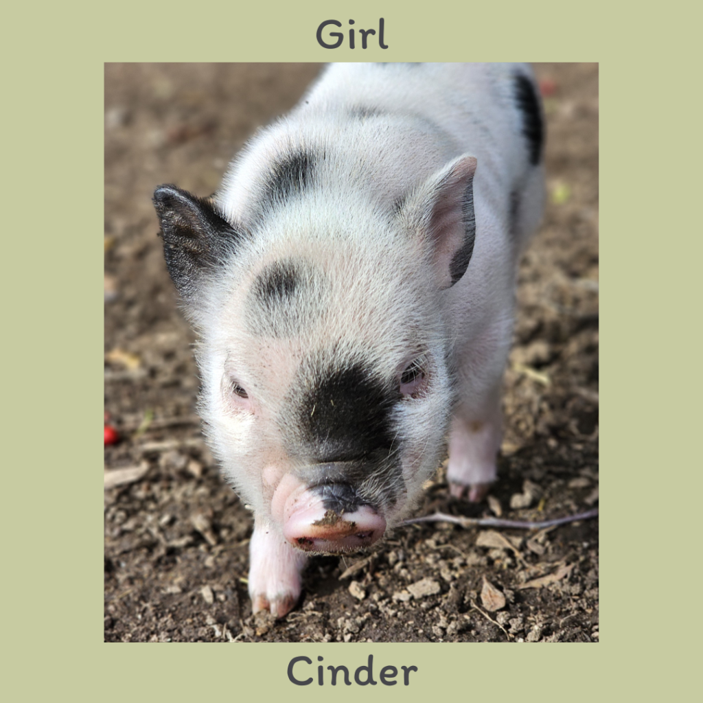 Girl 3