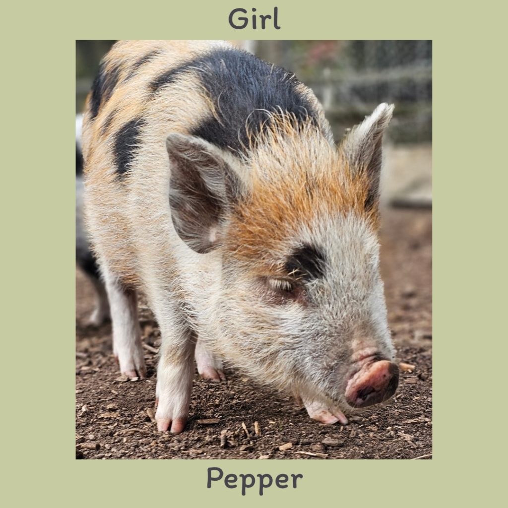 Girl 2