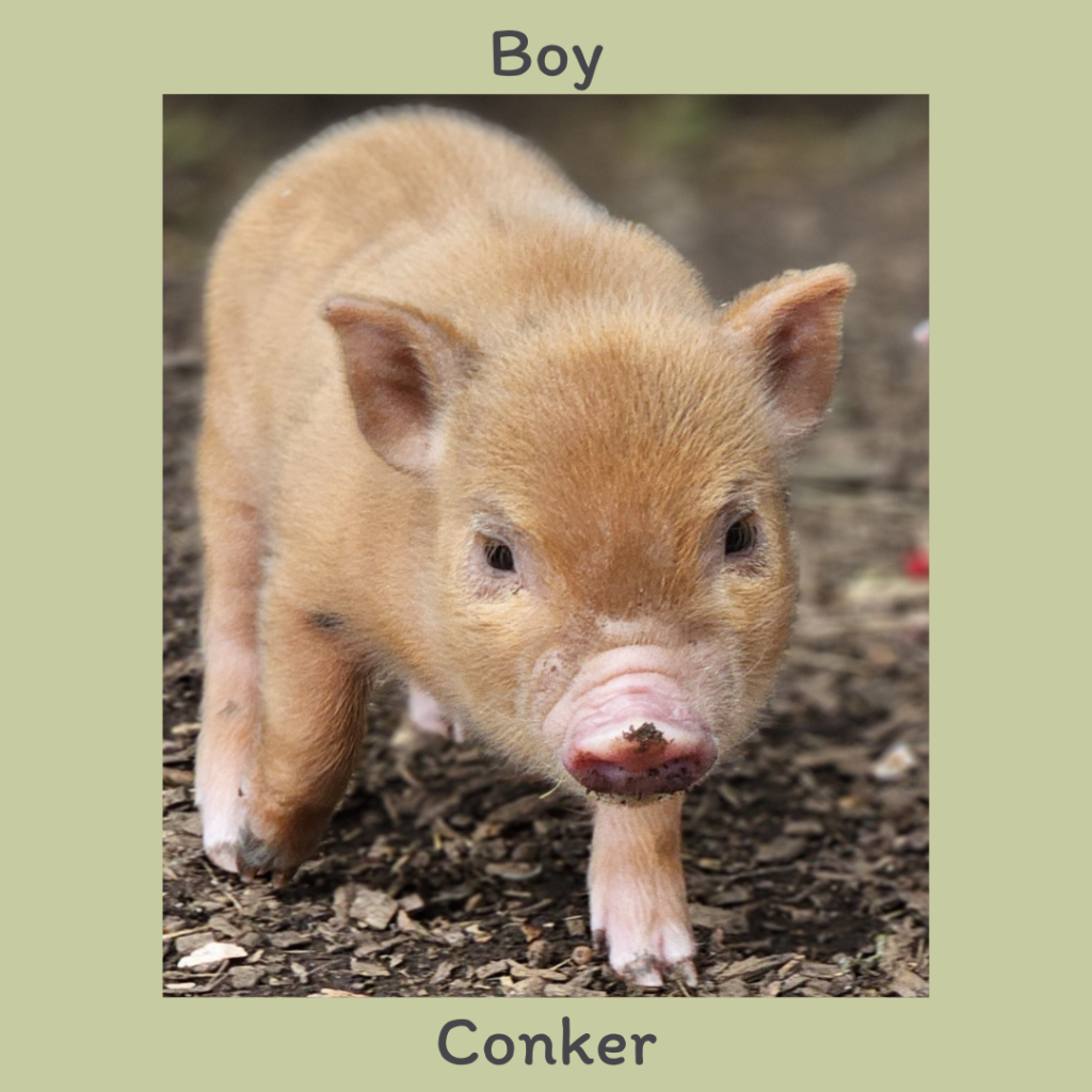 Boy 1