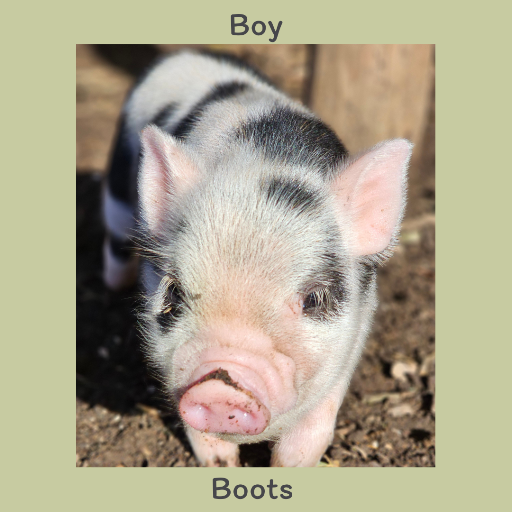 Boy 3