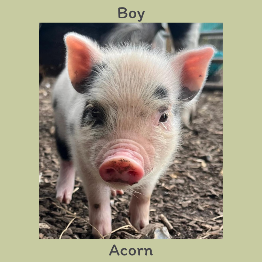 Boy 5