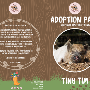 Adopt Tiny Tim