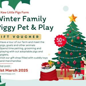 50% Off Winter Family Gift Vouchers
